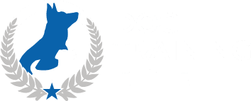 Dog Training Elite Westchester